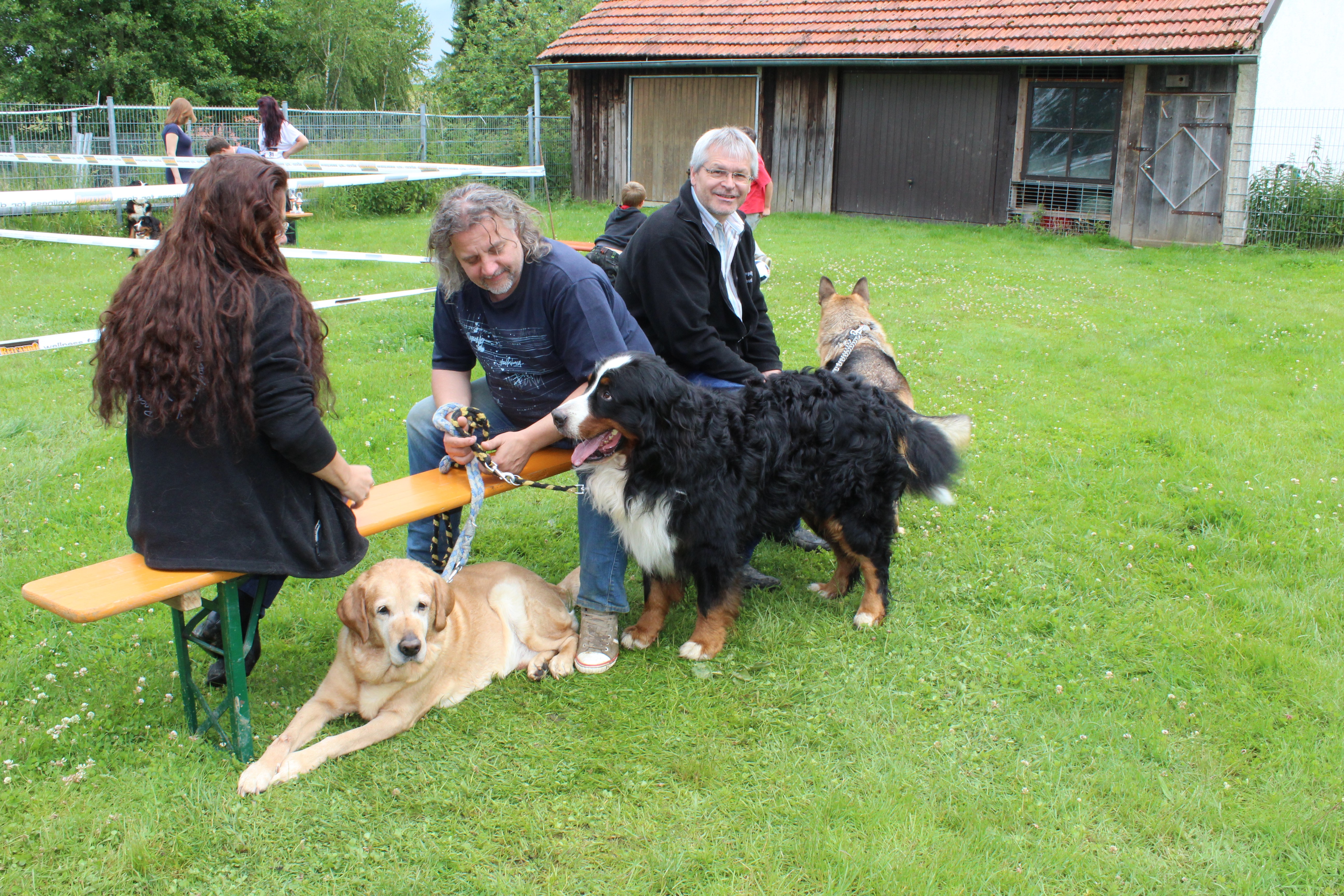 ausstellung 2016